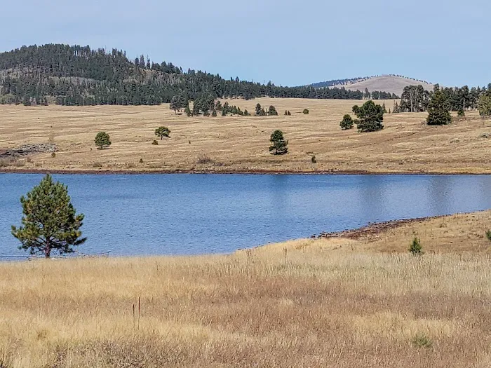 Grayling Campground Picture 2