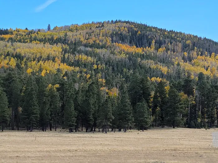 Grayling Campground Picture 1