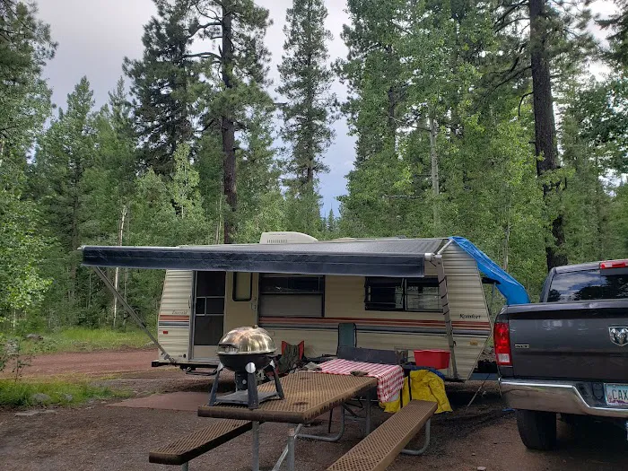 Grayling Campground Picture 5