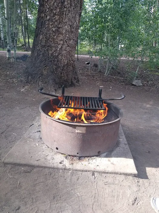 Grayling Campground Picture 6