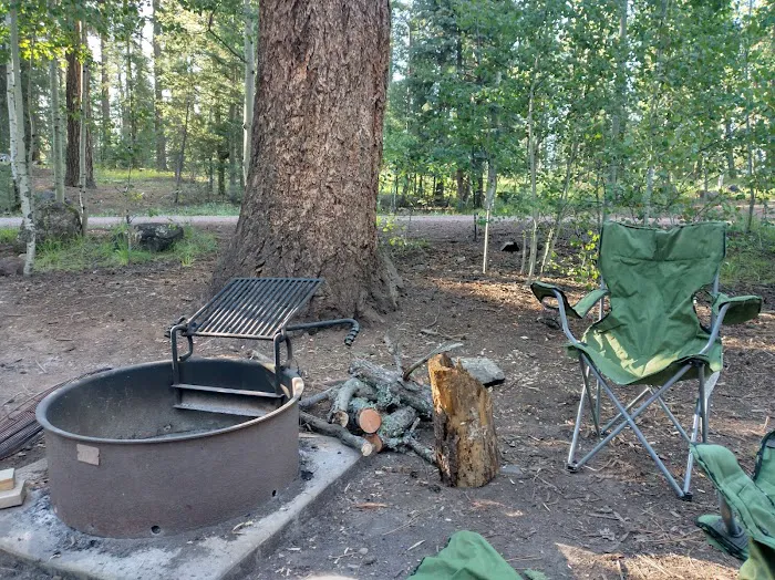 Grayling Campground Picture 10