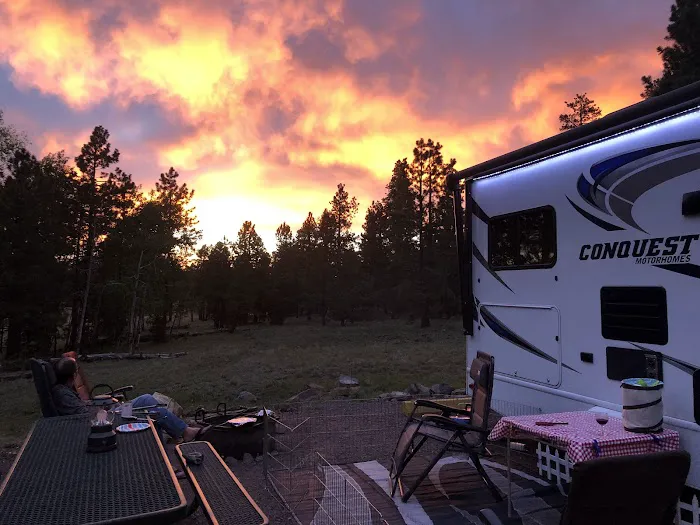 APACHE TROUT CAMPGROUND Picture 5