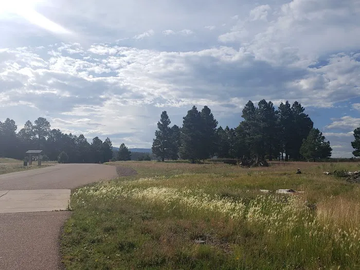 APACHE TROUT CAMPGROUND Picture 6