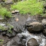 South Fork Trailhead (recgovnpsdata)