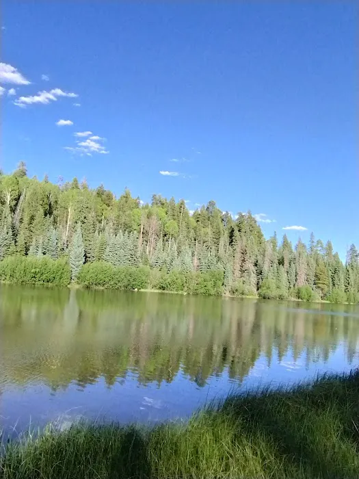 Hurricane Lake Campground Picture 6