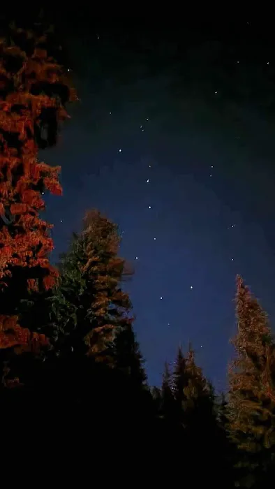 Hurricane Lake Campground Picture 8