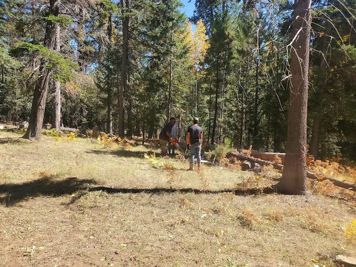 Drift Fence Lake Campground Picture 5