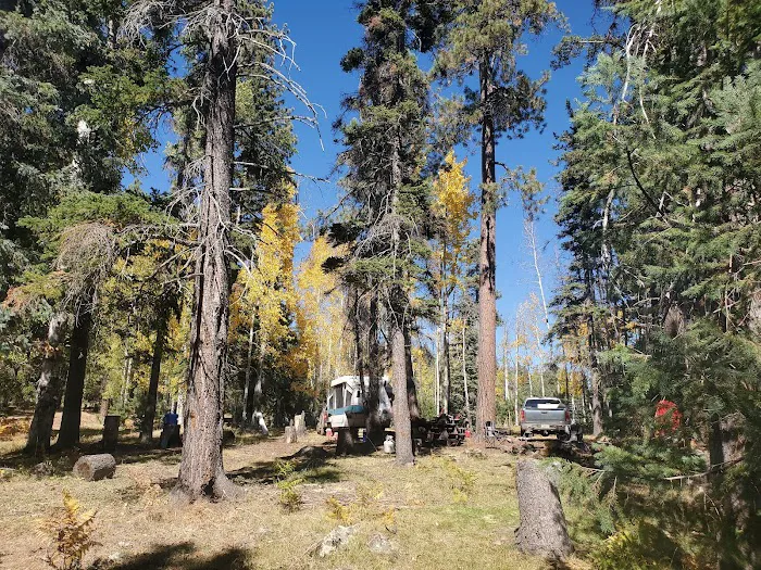 Drift Fence Lake Campground Picture 6