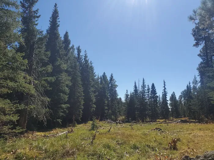 Drift Fence Lake Campground Picture 9
