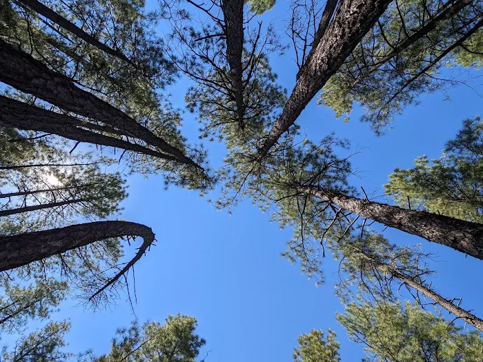 Ponderosa Campground Picture 1