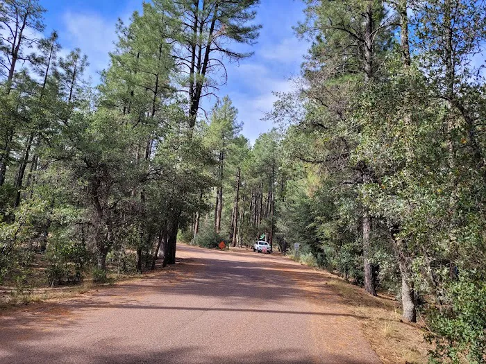 Ponderosa Campground Picture 2