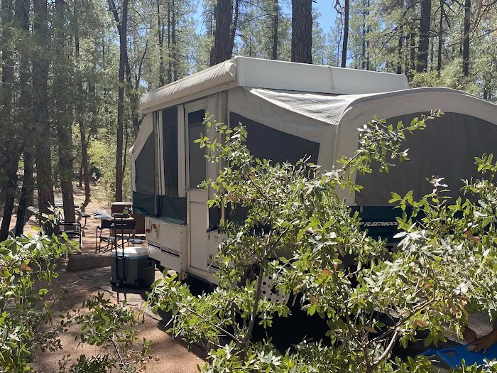 Ponderosa Campground Picture 3