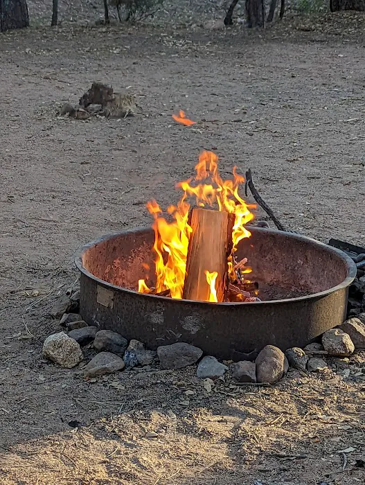 Ponderosa Campground Picture 6