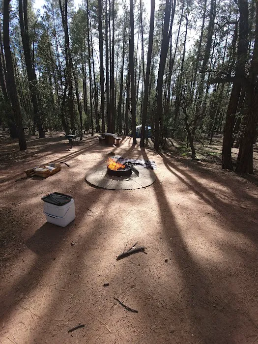 Ponderosa Campground Picture 5