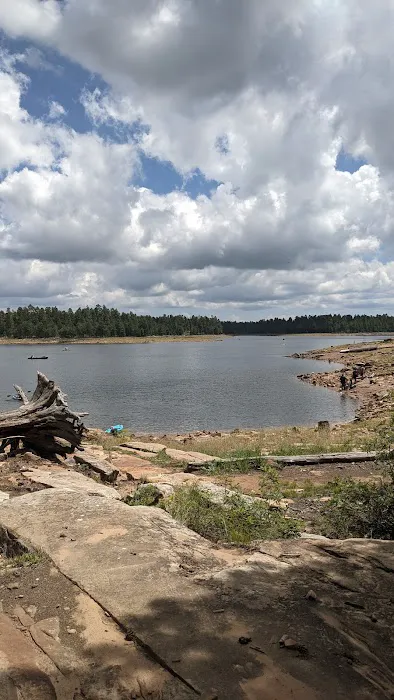 Ponderosa Campground Picture 8