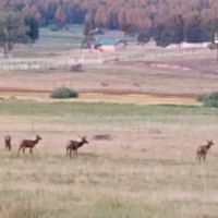 East Fork Recreation Area ico