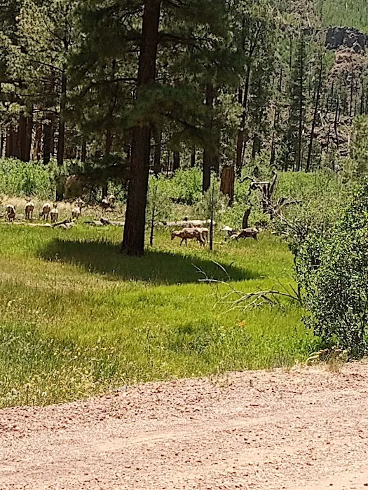 East Fork Recreation Area Picture 3