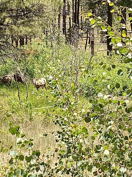 East Fork Recreation Area Picture 6