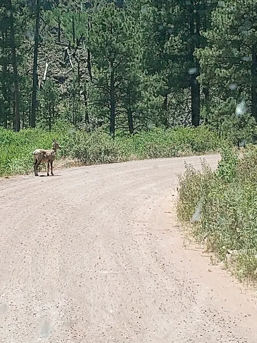 East Fork Recreation Area Picture 9