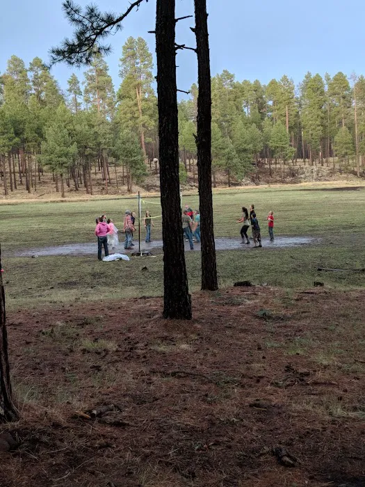 Brentwood LDS Campground Picture 2
