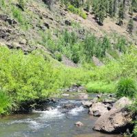 Raccoon Campground (recgovnpsdata) ico