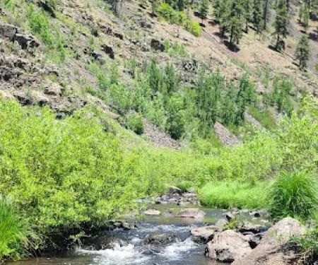 Raccoon Campground (recgovnpsdata)