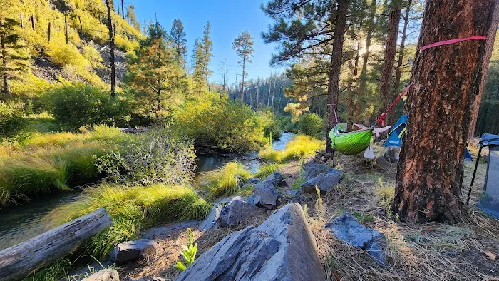 Raccoon Campground (recgovnpsdata) Picture 7