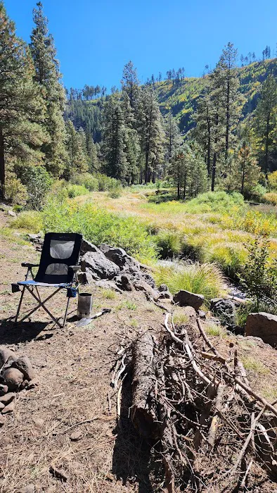 Raccoon Campground (recgovnpsdata) Picture 10