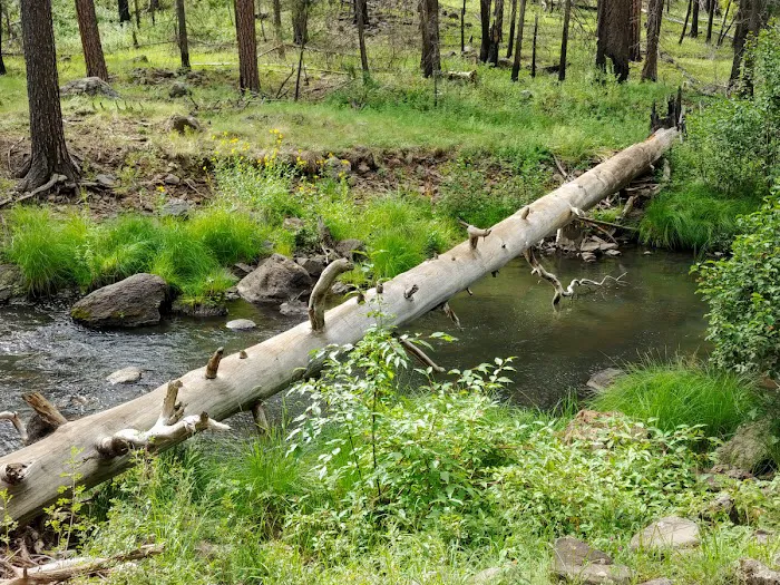 Horse Springs Campground Picture 3