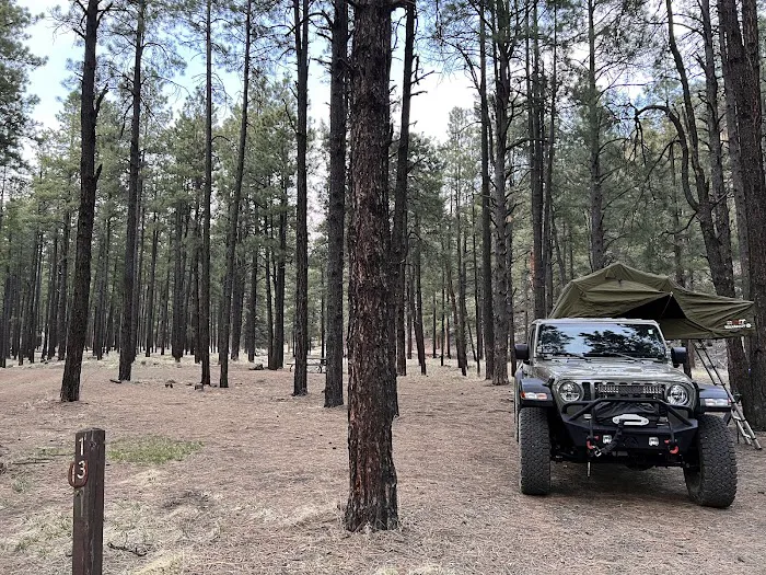 Horse Springs Campground Picture 4