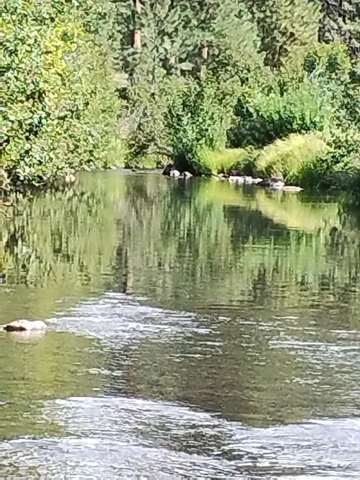 Horse Springs Campground Picture 5