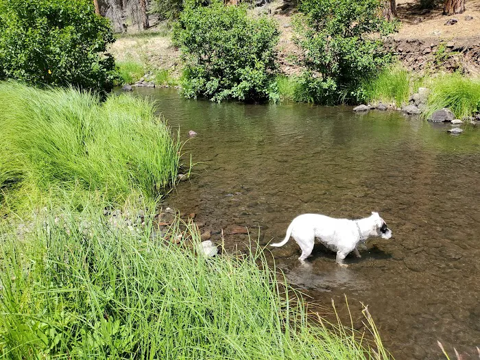 Horse Springs Campground Picture 6
