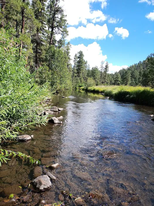 Horse Springs Campground Picture 7