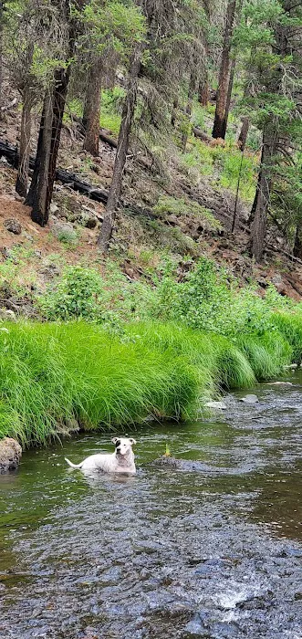 Horse Springs Campground Picture 10