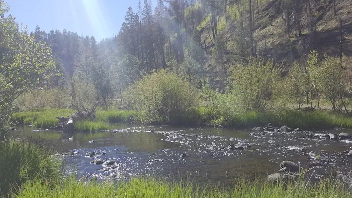 Deer Creek Campground (recgovnpsdata) Picture 3