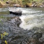 Aspen Campground - East Fork Black RIver