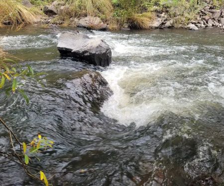 Aspen Campground - East Fork Black RIver