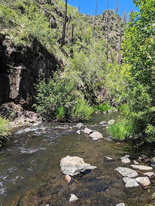 Aspen Campground - East Fork Black RIver Picture 5