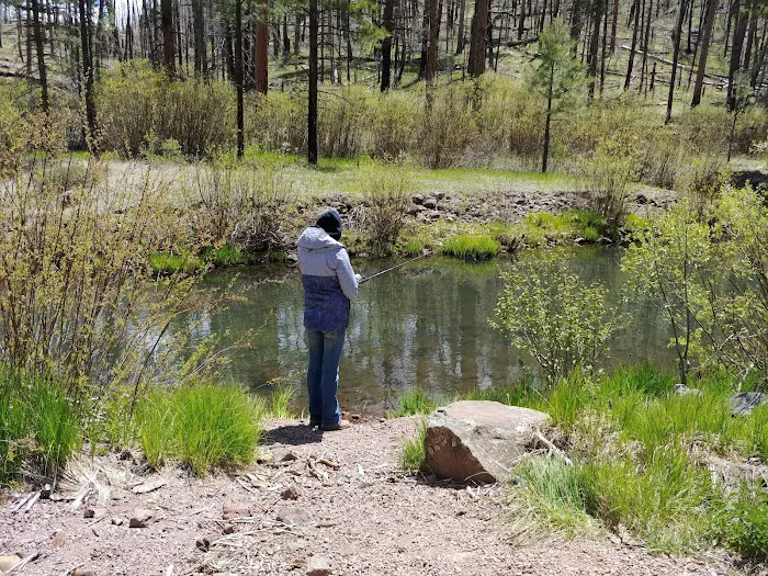 Aspen Campground - East Fork Black RIver Picture 6