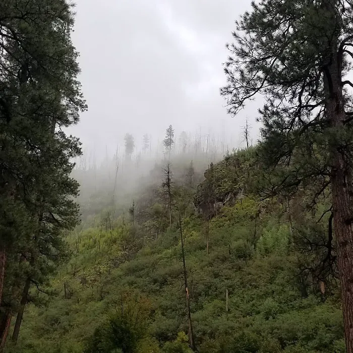 Aspen Campground - East Fork Black RIver Picture 7
