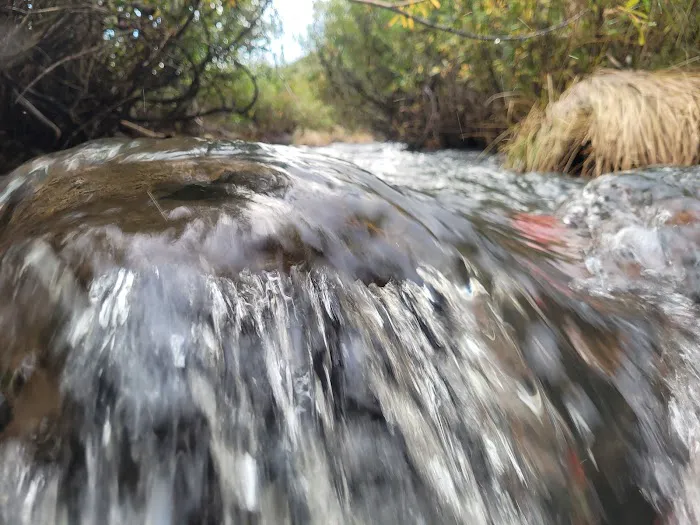 Aspen Campground - East Fork Black RIver Picture 10
