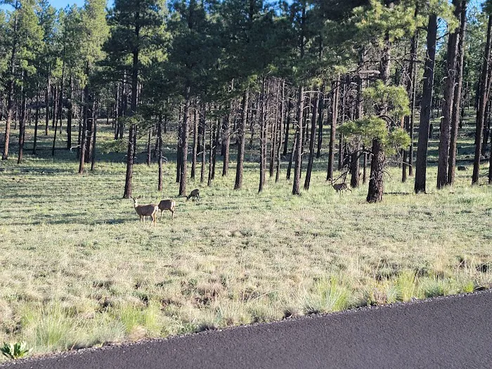 Diamond Rock Campground Picture 10