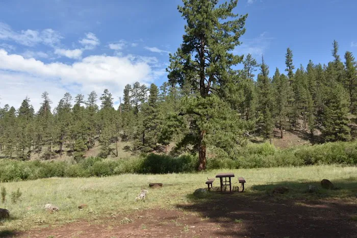 Buffalo Crossing Campground Picture 1