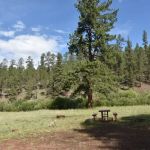 Buffalo Crossing Campground