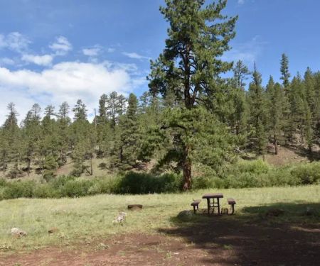 Buffalo Crossing Campground
