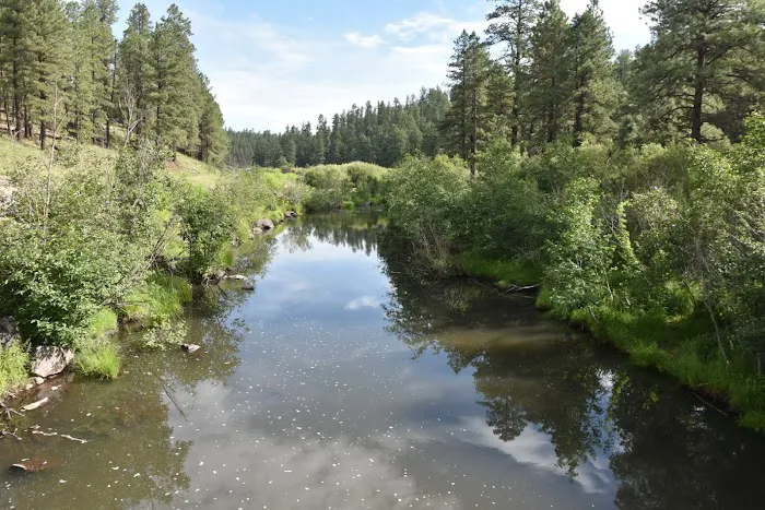 Buffalo Crossing Campground Picture 2