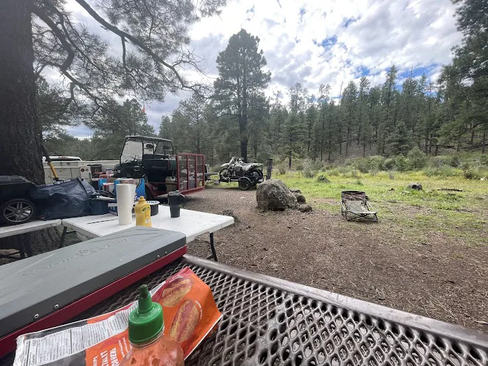Buffalo Crossing Campground Picture 4