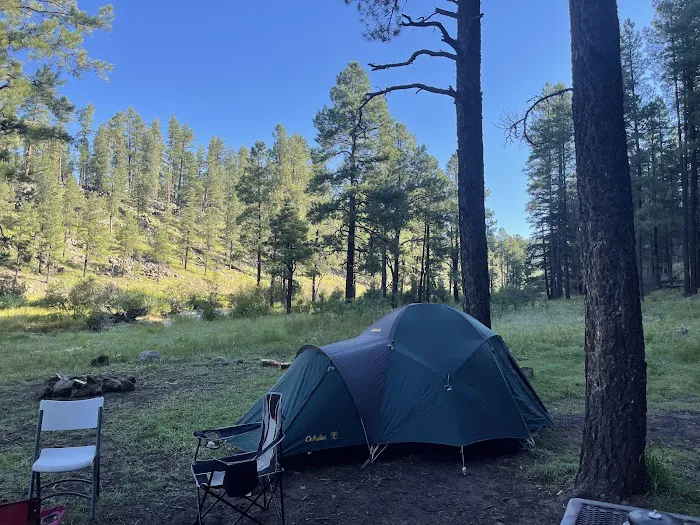 Buffalo Crossing Campground Picture 5