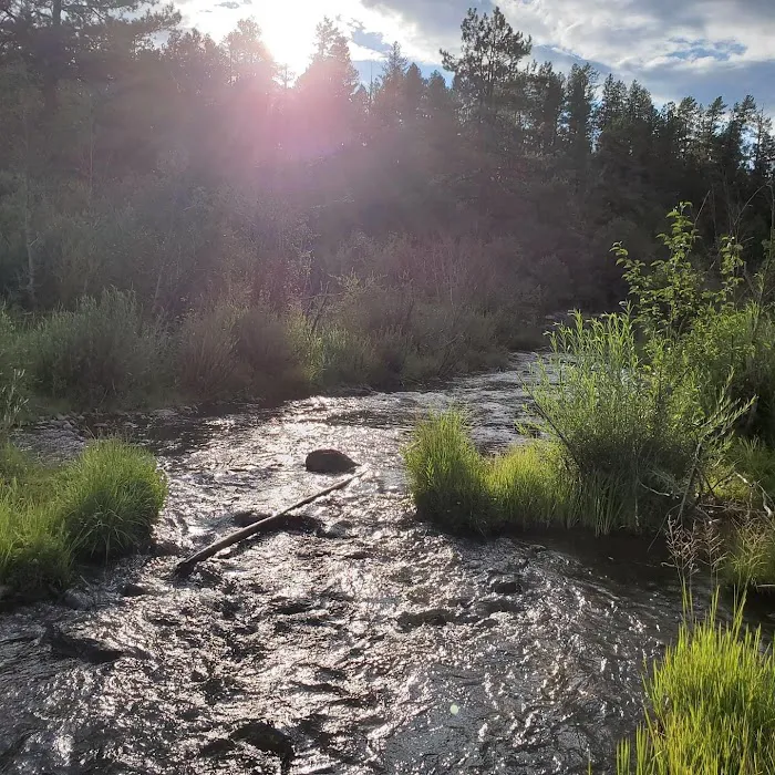 Buffalo Crossing Campground Picture 9