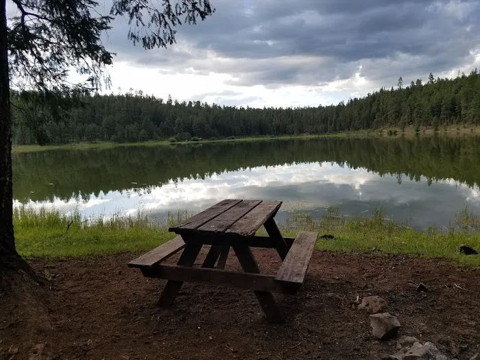 Pacheta Lake Campground Picture 3